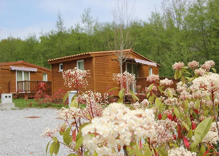 Campsite Camping Igara De